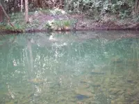 100_2353.webp 100_2353.webp