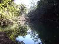 100_2355.webp