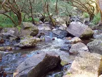 100_2363.webp
