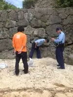 Grenade2.webp
