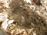 IMGP1679.webp