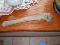DSCN3377.webp