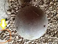 Cannonball 1.webp
