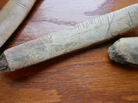 DSCN3382.webp