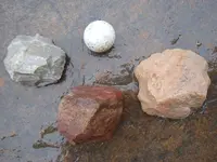 DSCN3383.webp