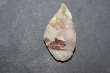 DSC00021.webp