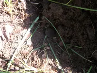 179.webp 179.webp