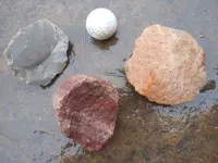 DSCN3384.webp