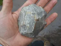DSCN3385.webp