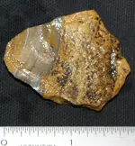 DSC09913.webp