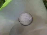 coin.webp