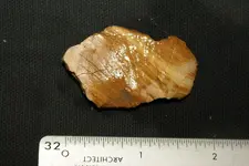 DSC09937.webp