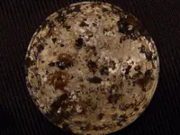 coin 002.webp