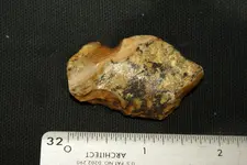 DSC09938.webp