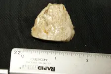 DSC09941.webp