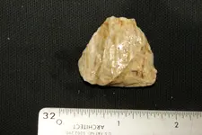 DSC09942.webp