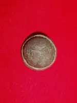 DSCN0454.webp