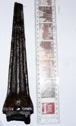 furca batoliera .webp