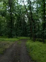 DSCN0282.webp