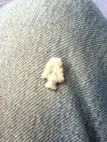 image-1180204042.webp