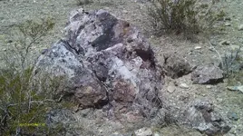 IMAG0620 (3).webp