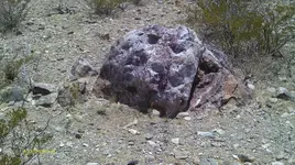IMAG0619 (3).webp