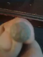 image-1665481971.webp