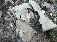 100_2701.webp