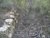 100_2694.webp