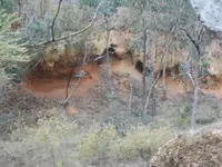 100_2696.webp