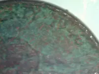 1946 nickle.webp