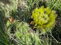 IMG_1161-2.webp