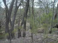100_2683.webp