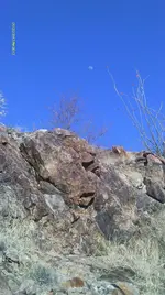 IMAG0996 (2).webp
