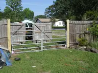 DSCN6360.webp