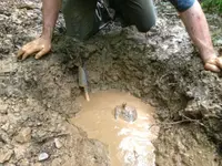 image-2762821059.webp