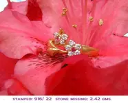 DSCF2331.webp