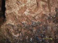 Cave Pic#14 070313.webp