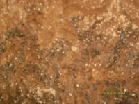 Cave Pic#16 070313.webp