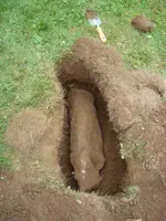 biggest_in_hole.webp biggest_in_hole.webp