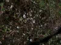 100_4372.webp