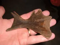 DSCF0626.webp