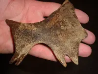 DSCF0627.webp