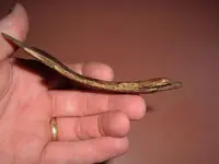 DSCF0628.webp