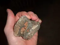 DSCF0631.webp