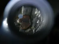 DSCN2520.webp