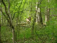 GEDC0001.webp