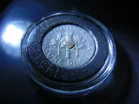 DSCN2515.webp