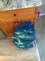 image-2318857692.webp