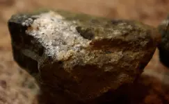 Rock1.webp